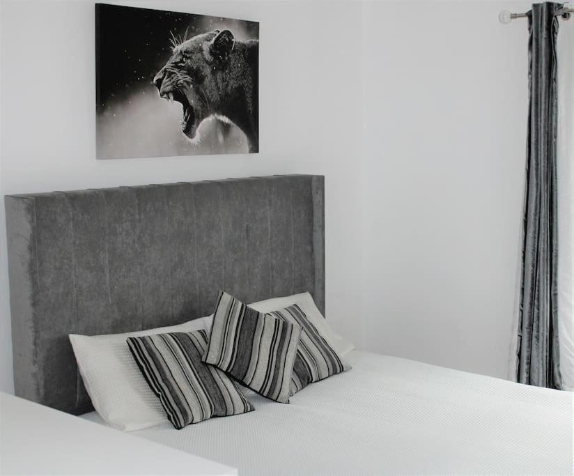 Lovely Modern Apartment Close To Town Centre Lexden エクステリア 写真