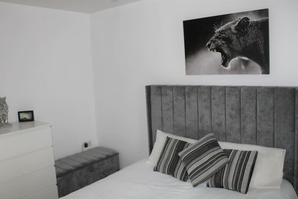 Lovely Modern Apartment Close To Town Centre Lexden エクステリア 写真